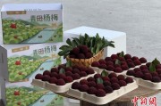 老黄历本高速赋能产业升级：一条“杨梅路”的致富密码